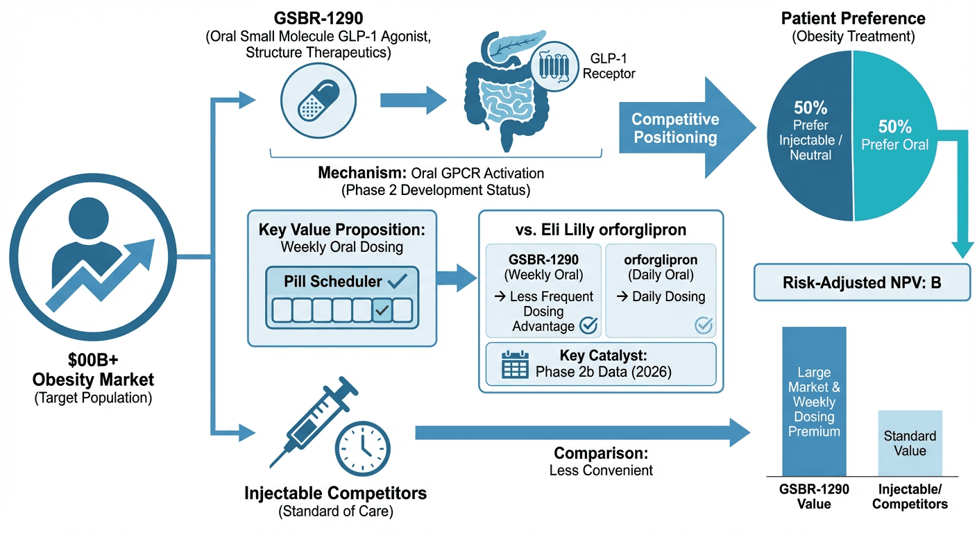 Structure Therapeutics Investment Due Diligence