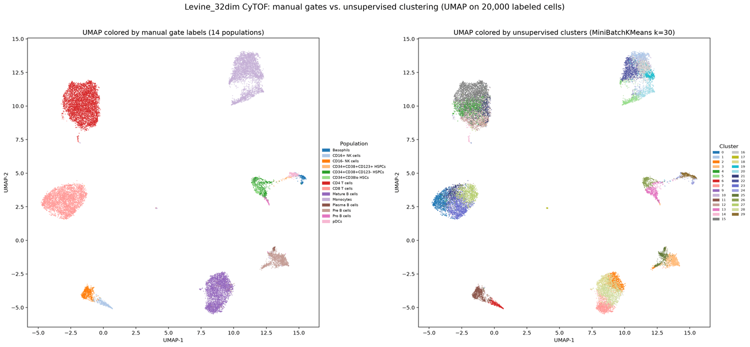 Clustering and mapping of CyTOF bone marrow cells