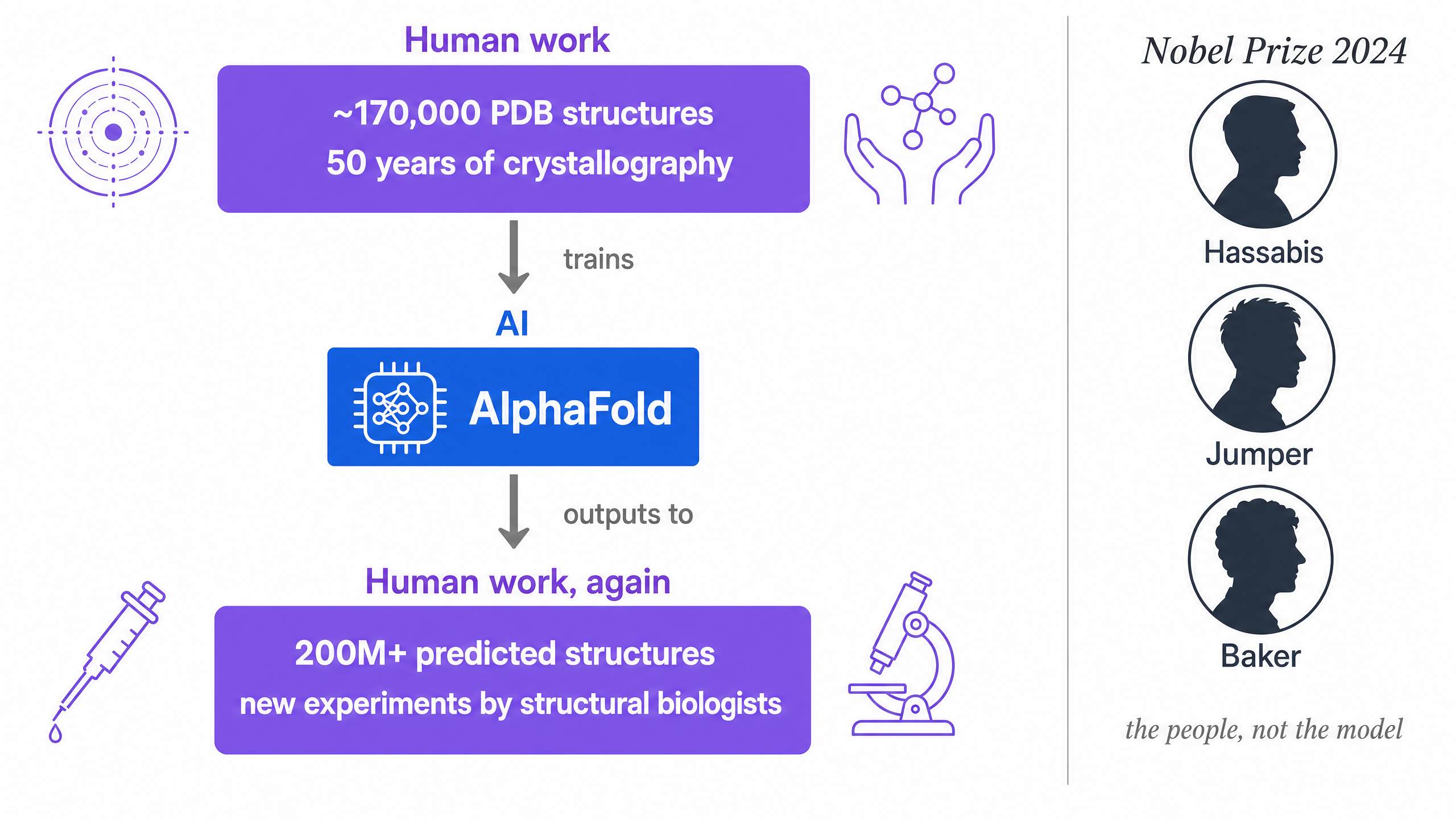 A three-layer lineage diagram: ~170,000 PDB structures from 50 years of crystallography (humans) feed AlphaFold (AI), which outputs 200M+ predicted structures back to structural biologists (humans). Inset shows the 2024 Nobel laureates (Hassabis, Jumper, Baker) above the words 'the people, not the model'