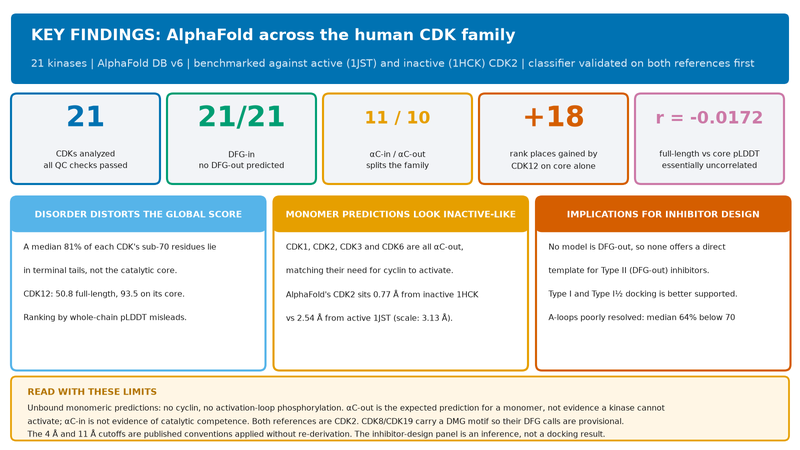 Key findings from the CDK structural census