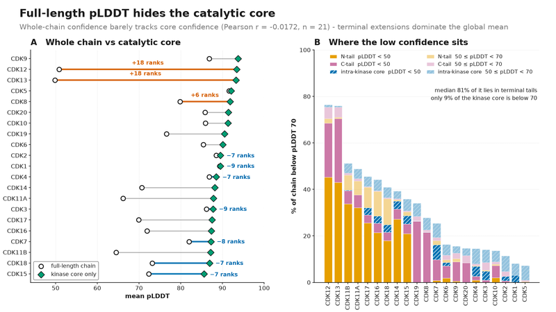 Whole-chain versus kinase-core pLDDT across the CDK family