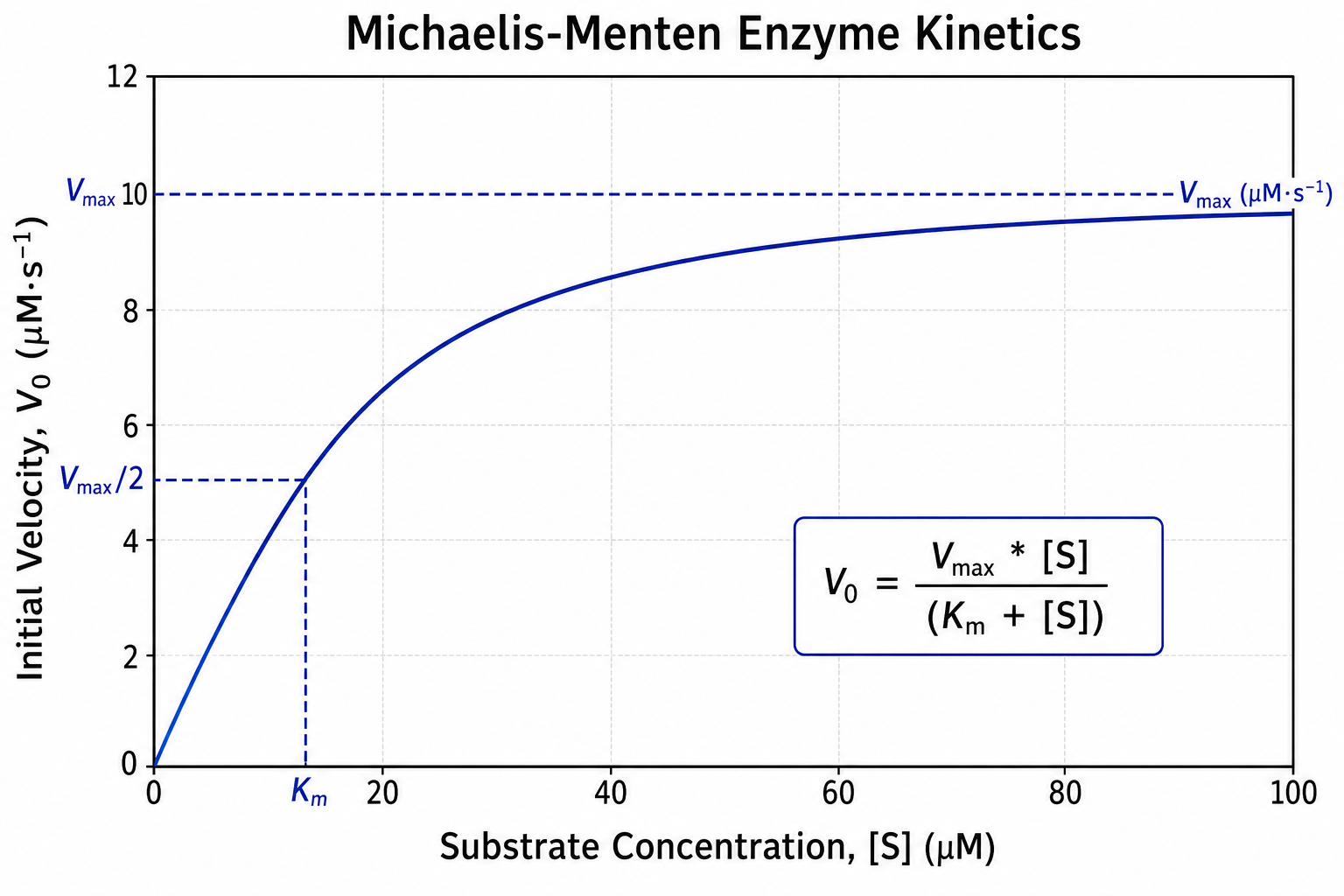 GPT Image 2 sample for bio-enzyme-kinetics