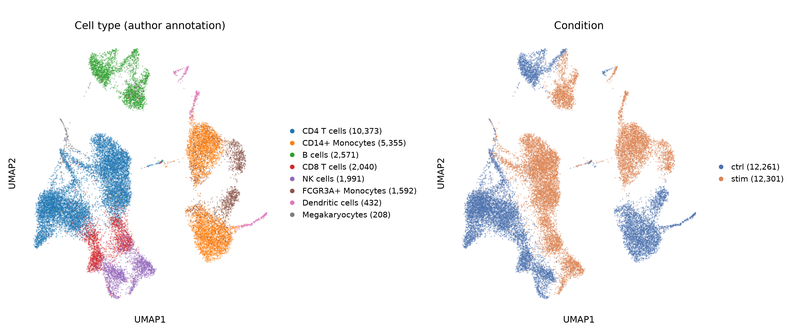 UMAP of the Kang 2018 PBMCs colored by cell type and by condition