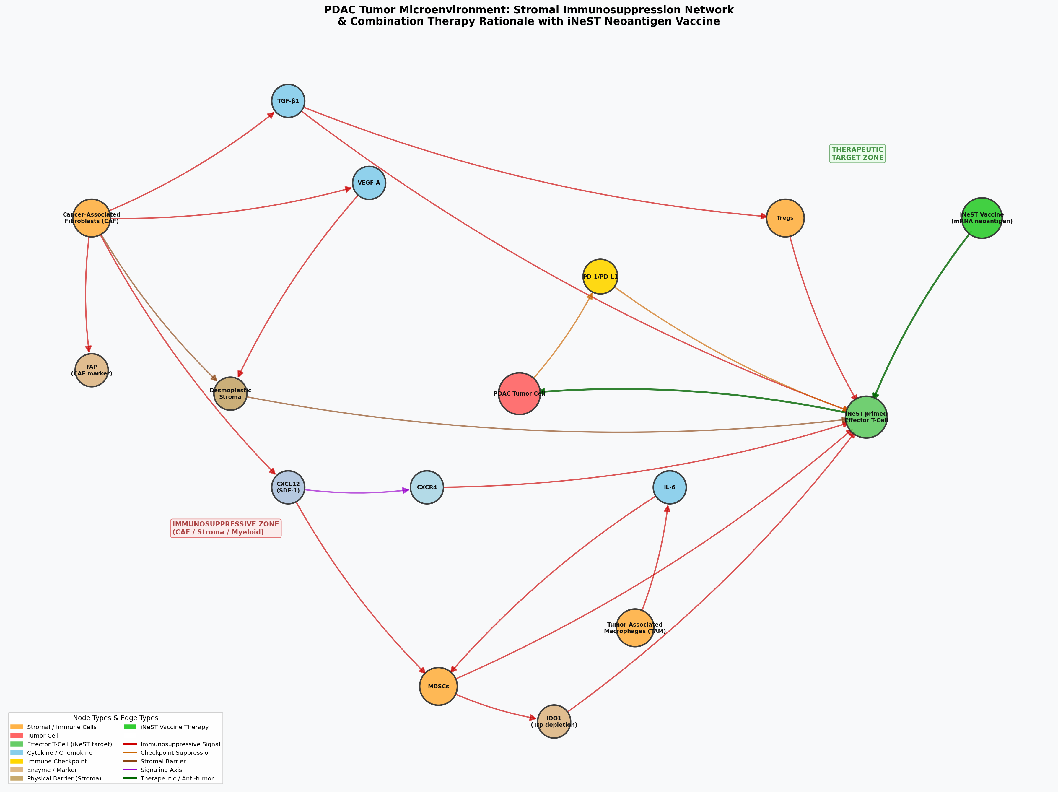 Network diagram showing PDAC tumor microenvironment interactions: CAFs, MDSCs, Tregs, checkpoint molecules, and iNeST vaccine-primed T cells with therapeutic targeting opportunities.