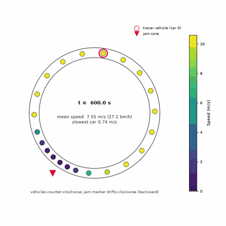 Animation of the simulated ring road