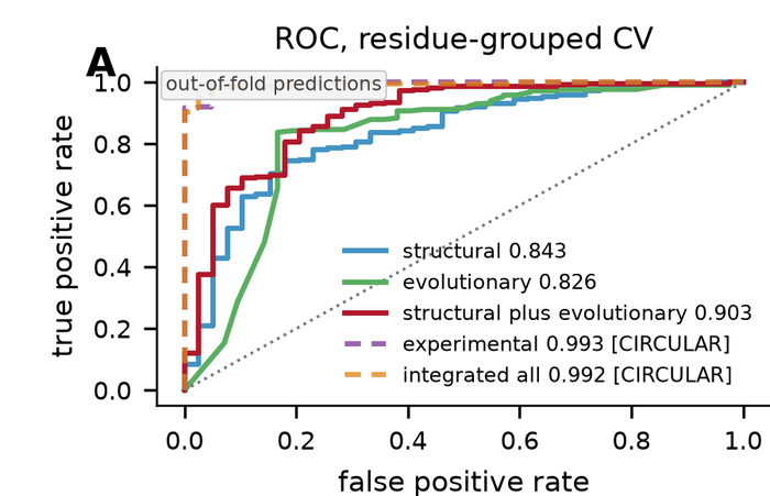 ROC curves under residue-grouped cross-validation
