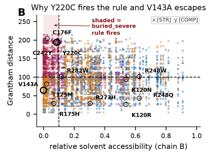 Relative solvent accessibility against Grantham distance, with the buried-severe rule region shaded