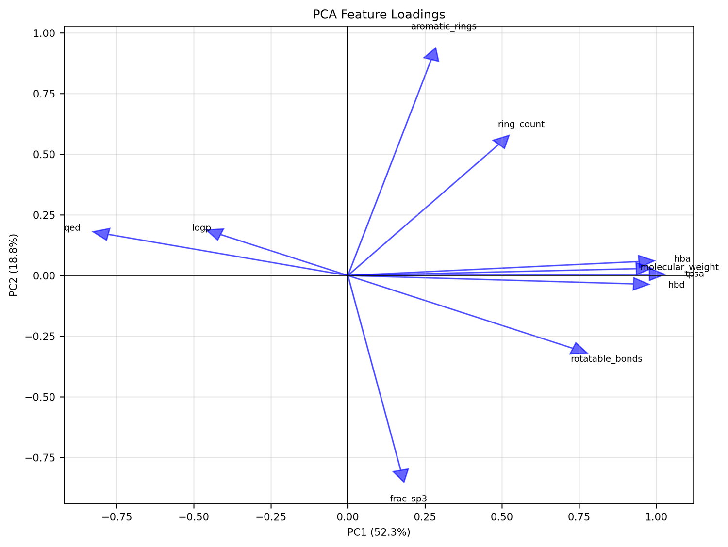 PCA feature loadings biplot