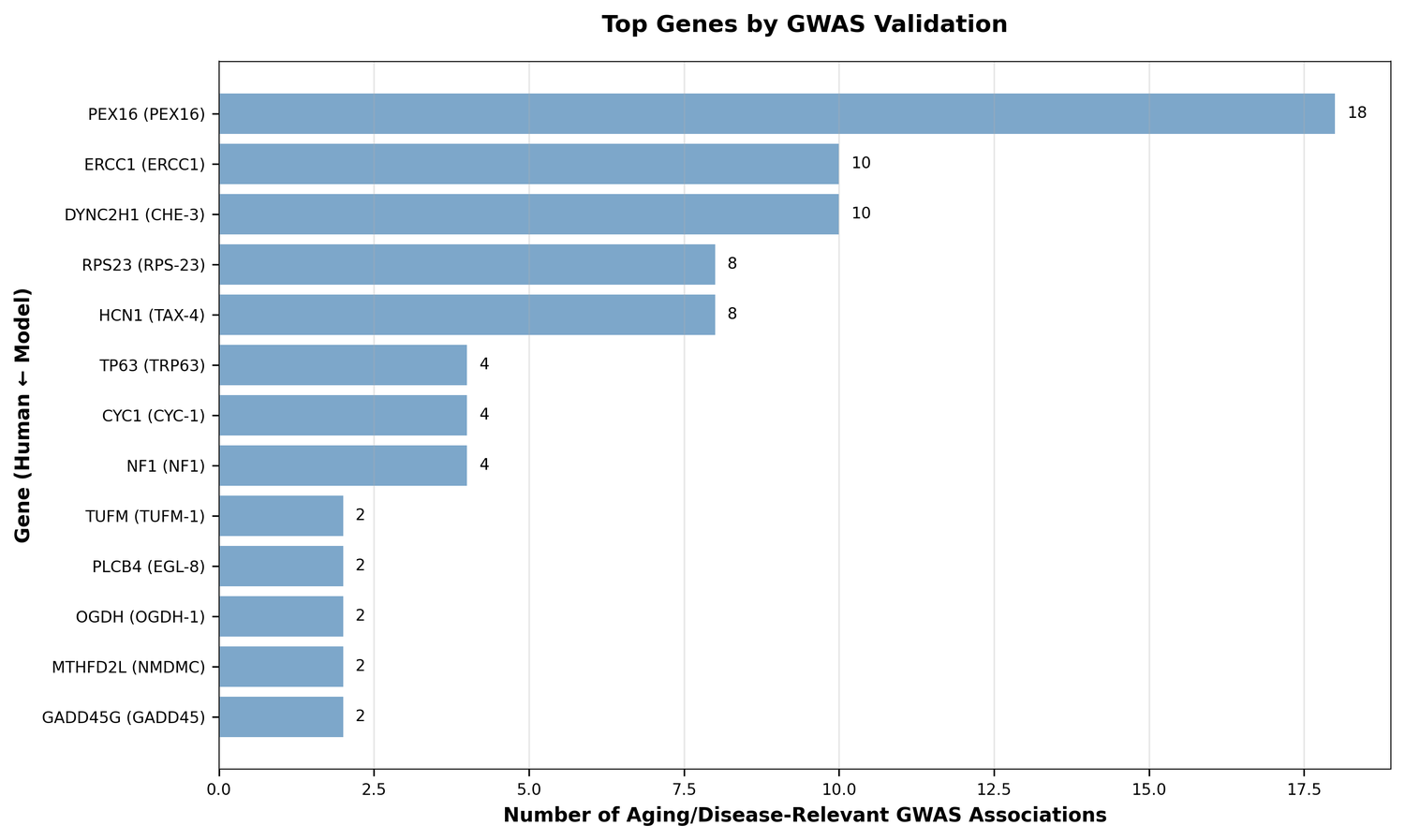 Gwas counts bar
