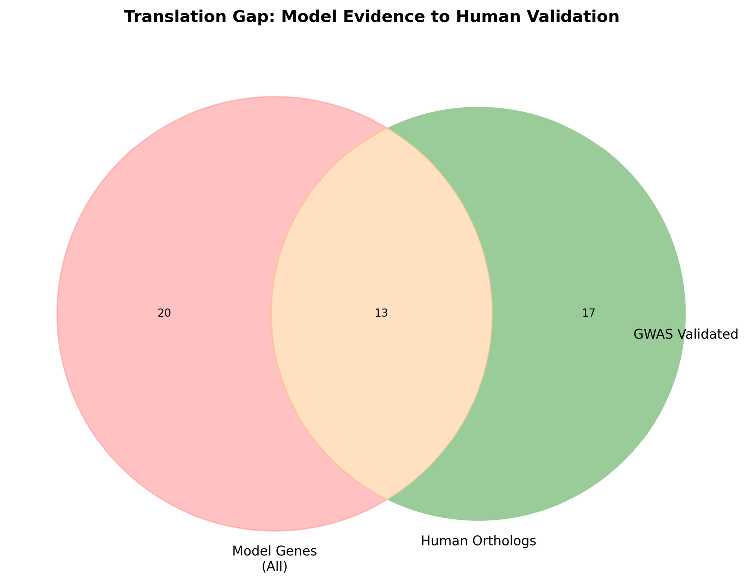 Translation gap venn