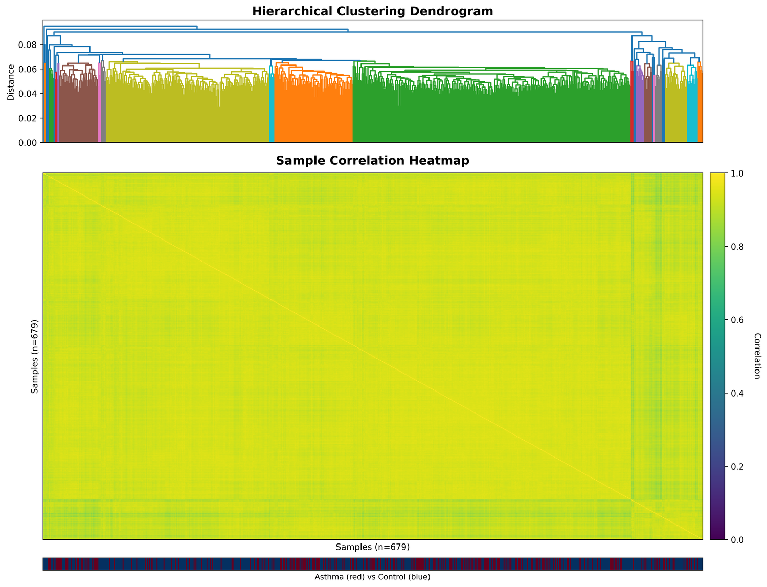 Step1 clustering heatmap