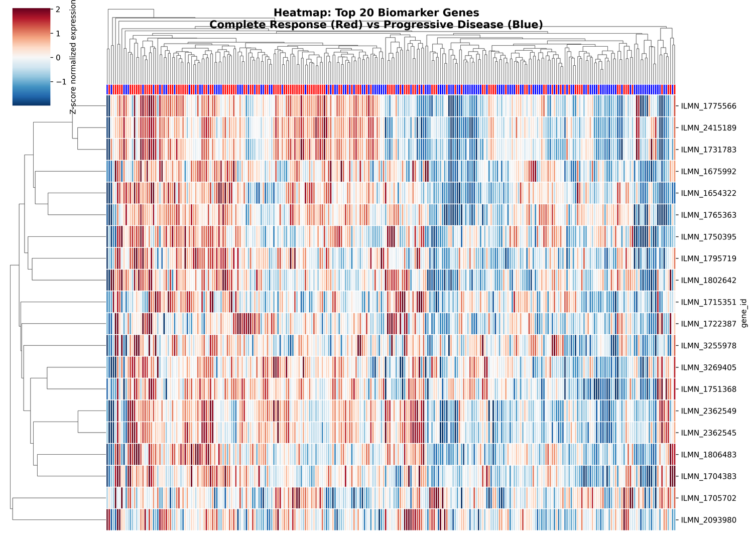 Heatmap of top 20 genes with hierarchical clustering (PNG)