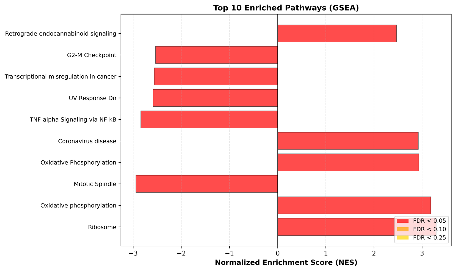 Top 10 enriched pathways from GSEA (bar plot by NES)