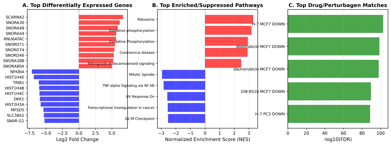 Multi-panel MoA dashboard (Top DEGs, Pathways, Drug Connectivity)