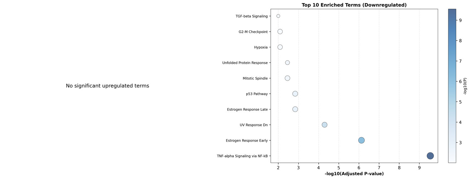 Top 10 enriched terms from ORA (dot plot for up/down genes)