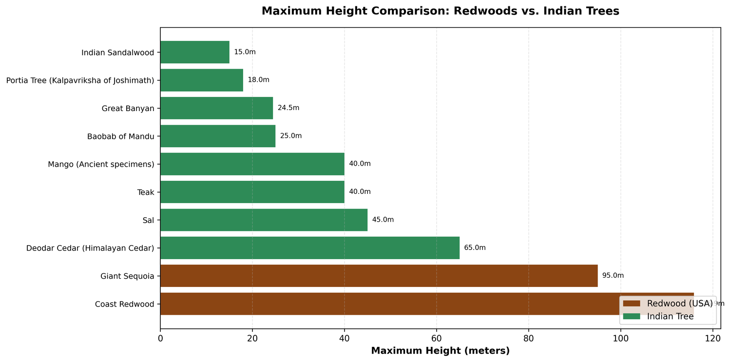 Bar chart: Maximum height comparison (Redwoods vs. Indian species)