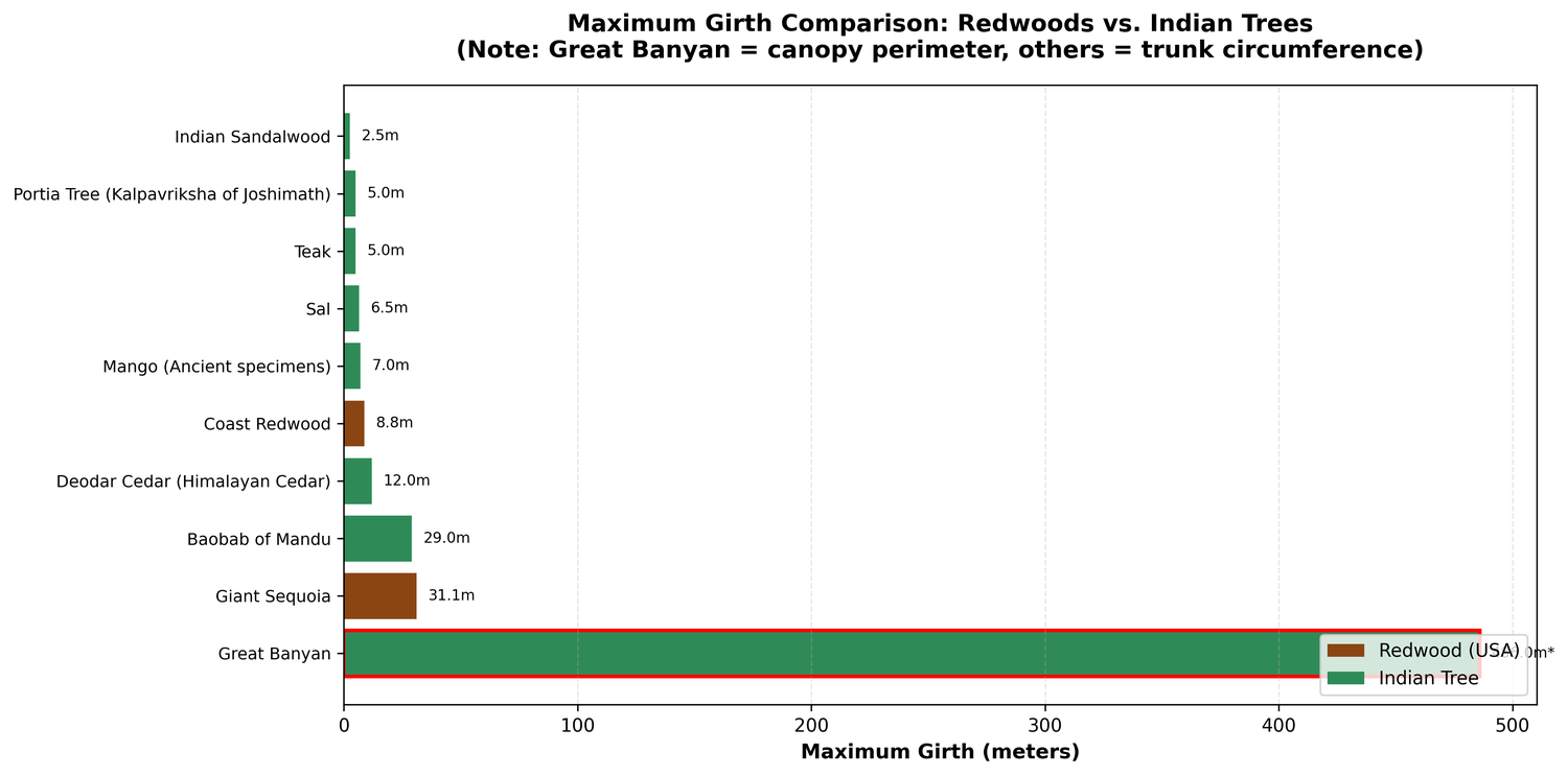 Bar chart: Maximum girth comparison (highlighting Great Banyan's unique canopy scale)