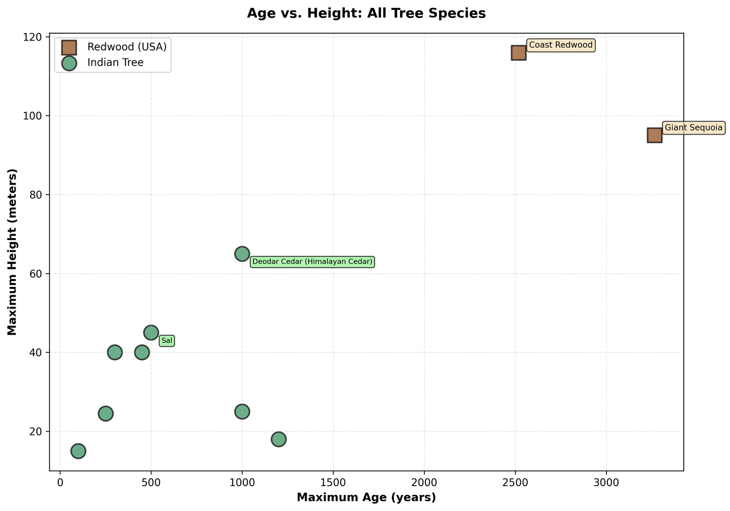 Scatter plot: Age vs. Height relationship for all tree species