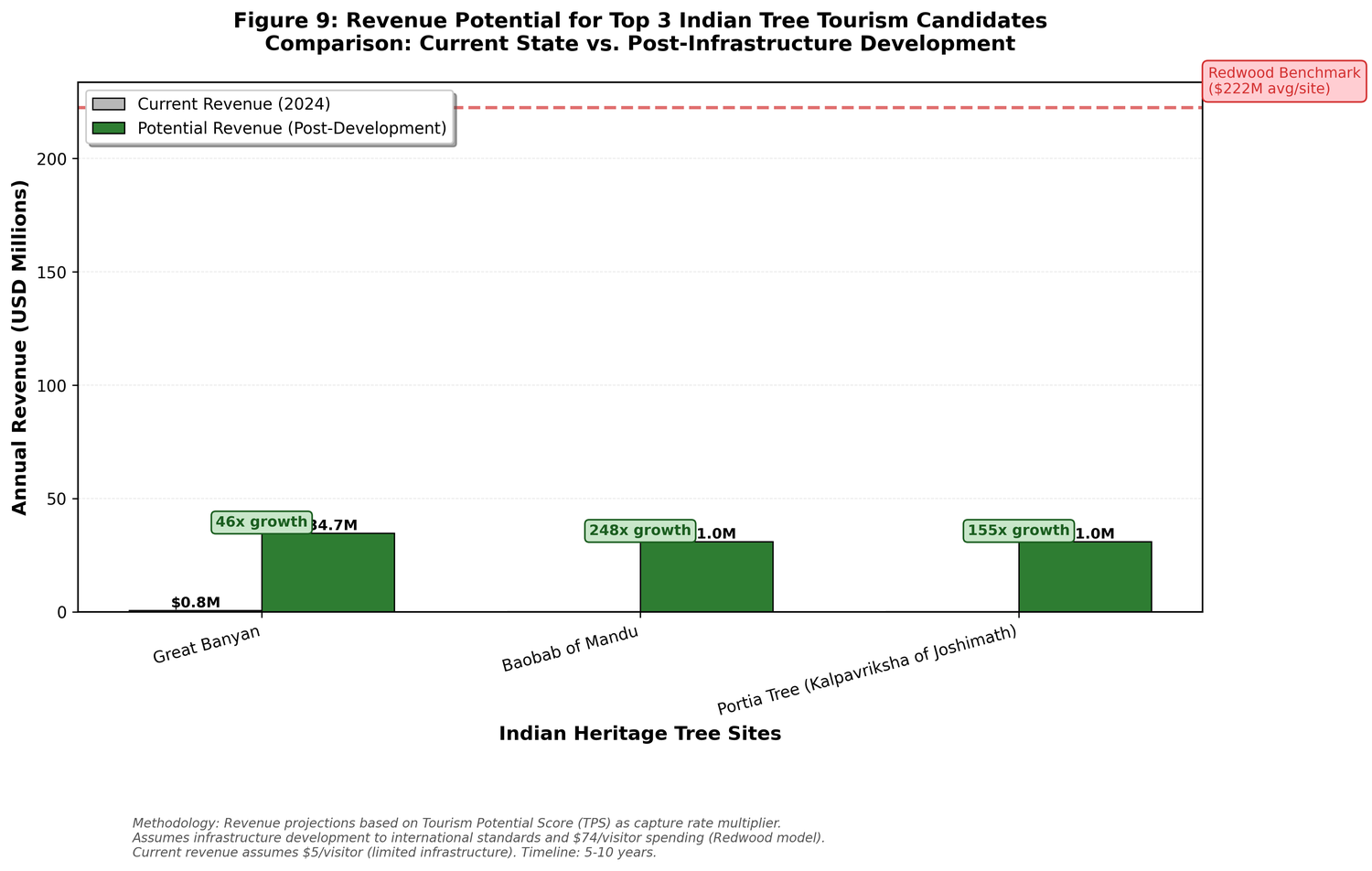 Bar chart: Current vs Potential Revenue comparison for top 3 Indian tree candidates with Redwood benchmark reference line
