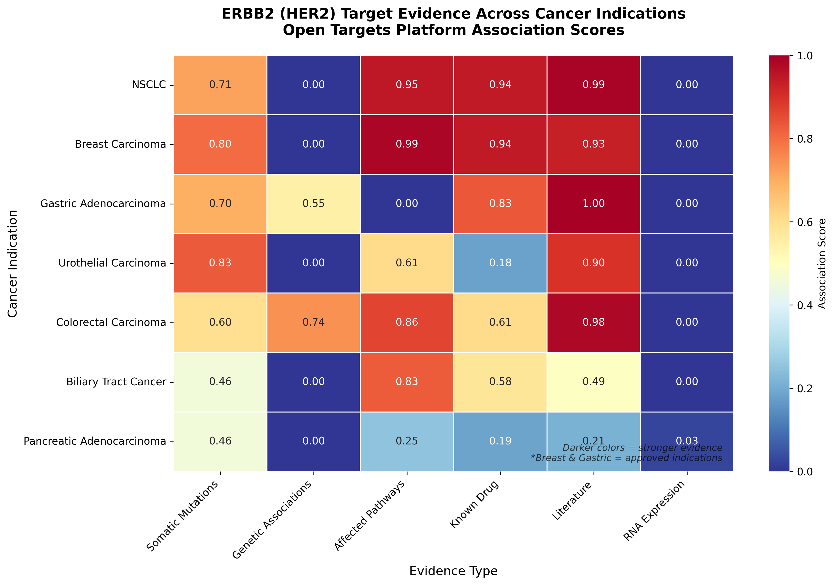 Erbb2 indication heatmap