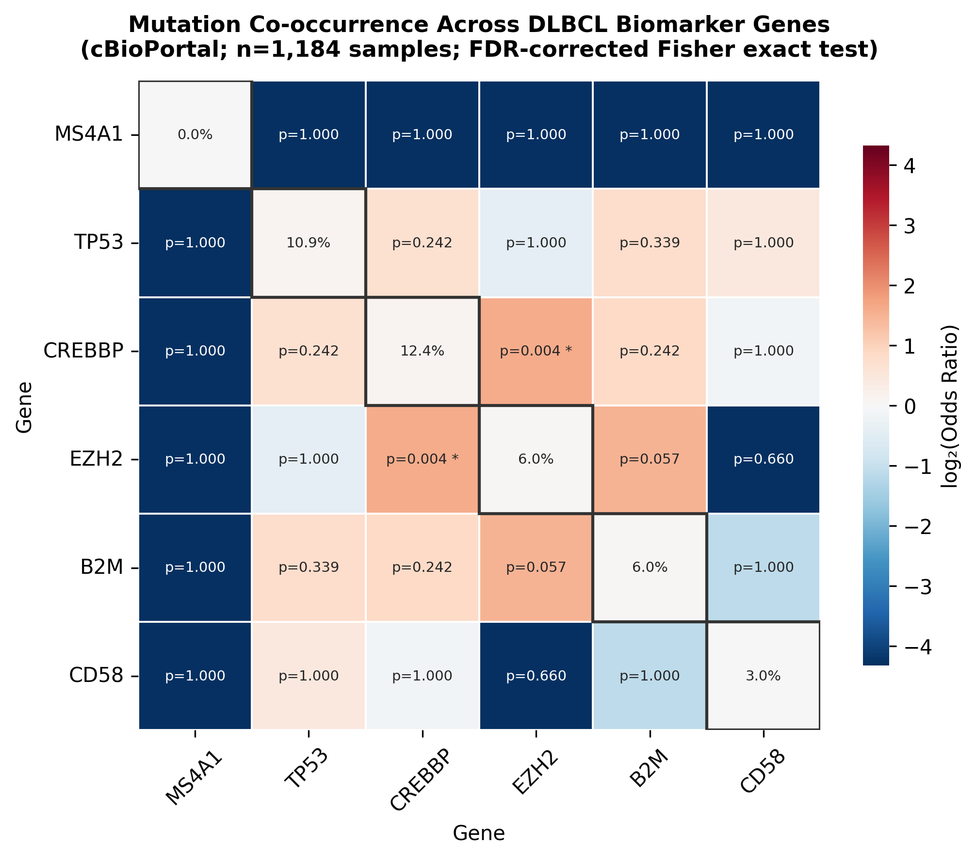 Mutation co-occurrence heatmap for 6 DLBCL biomarker genes (MS4A1, TP53, CREBBP, EZH2, B2M, CD58). Symmetric matrix of log2(OR) with FDR-corrected Fisher exact test p-values annotated. Only CREBBP-EZH2 pair significant after BH correction (OR=3.04, FDR q=0.0036).