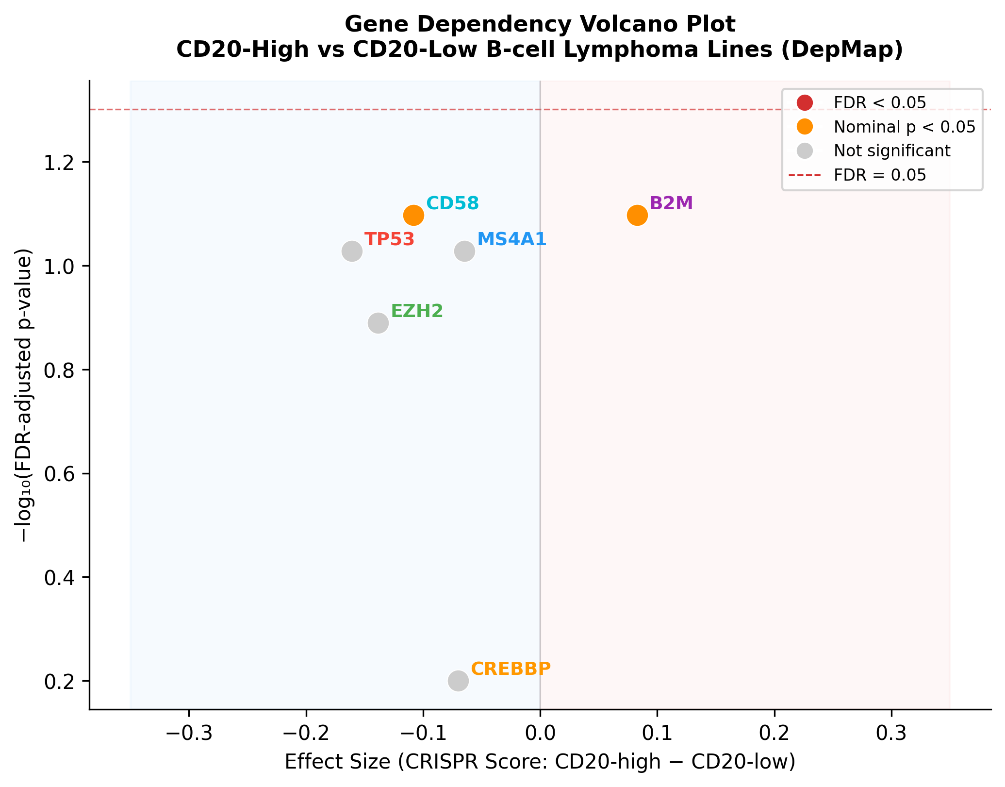 Volcano plot of CRISPR gene dependency differences between CD20-high (n=57) and CD20-low (n=56) B-cell lymphoma lines (DepMap 26Q1). X-axis: effect size (mean Chronos high - low); Y-axis: -log10(FDR p-value). B2M and CD58 show nominal significance (p<0.05, not FDR).