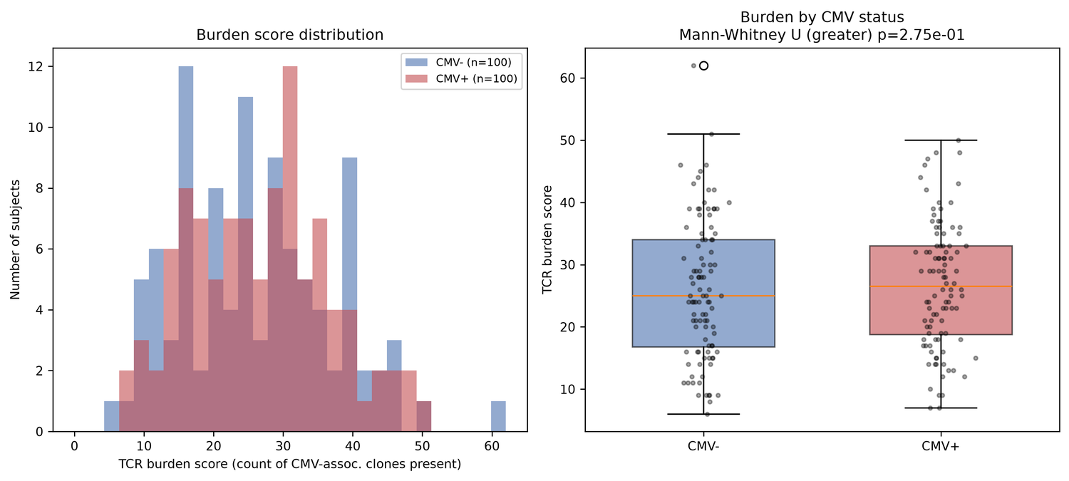 TCRβ repertoire-based CMV serostatus classifier