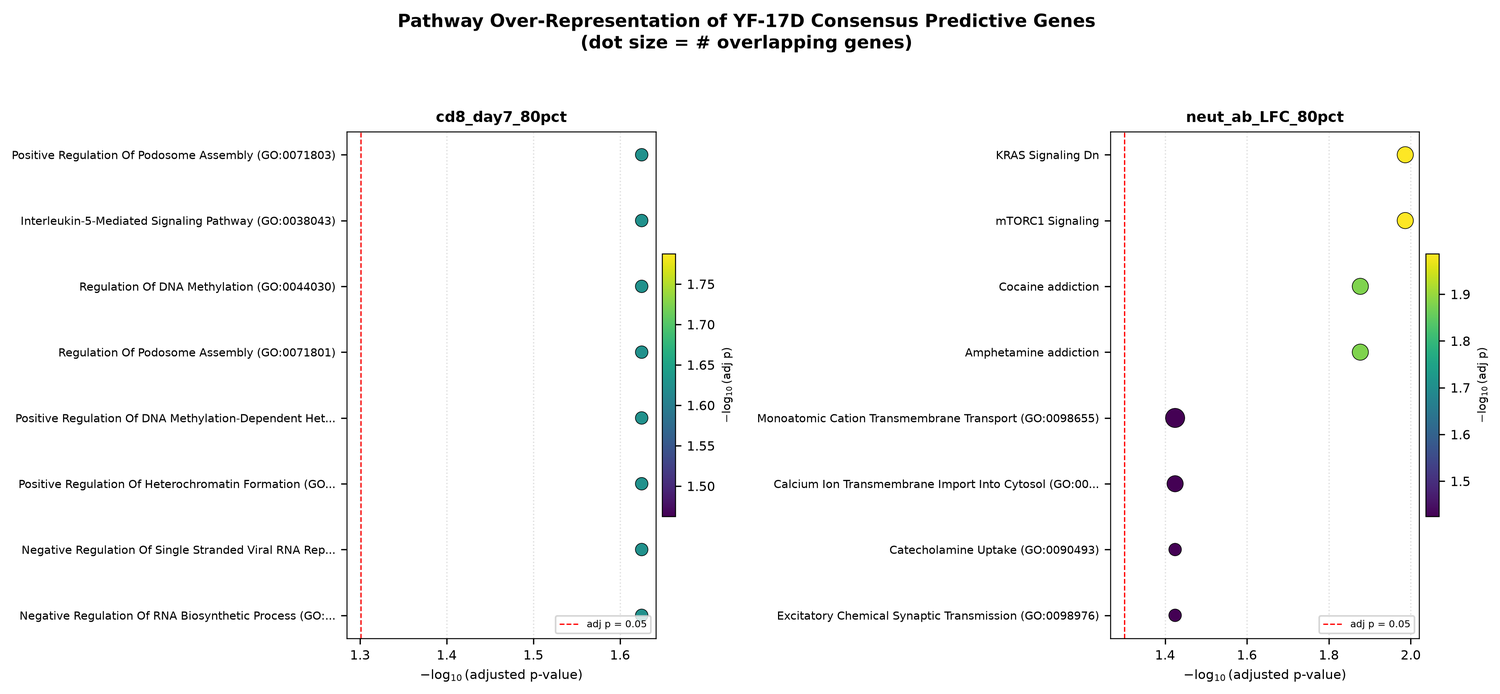 Yellow fever vaccine transcriptomic time-course analysis