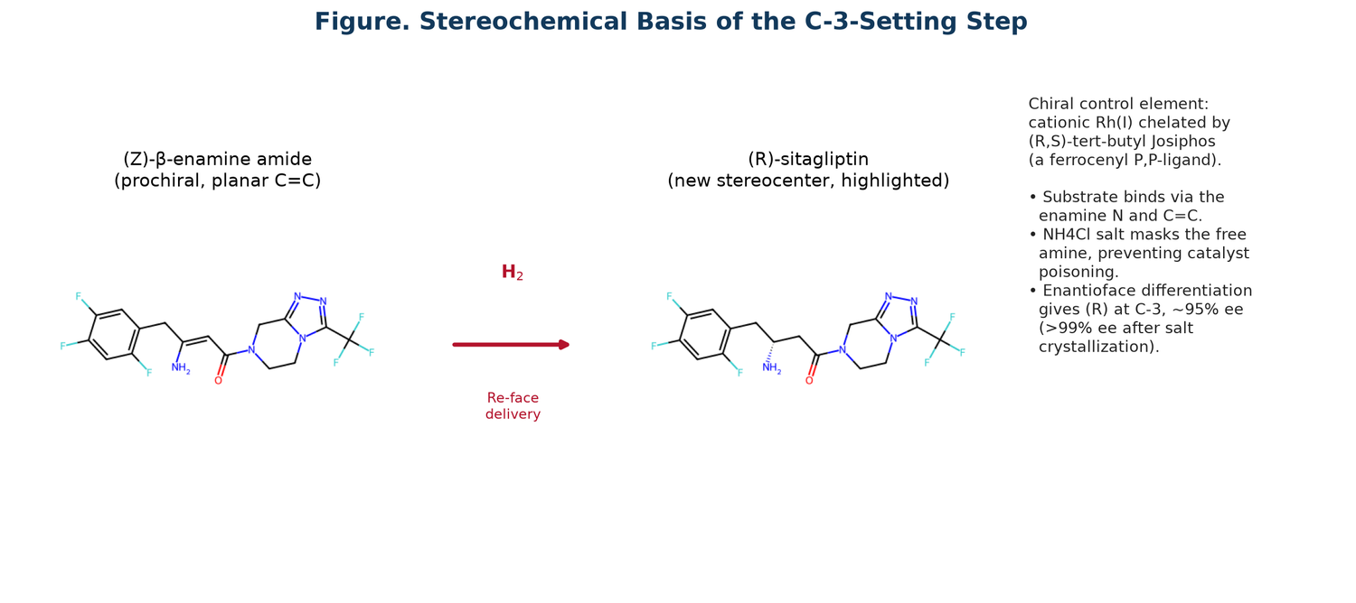 Sitagliptin Multi-Step Synthetic Route Design