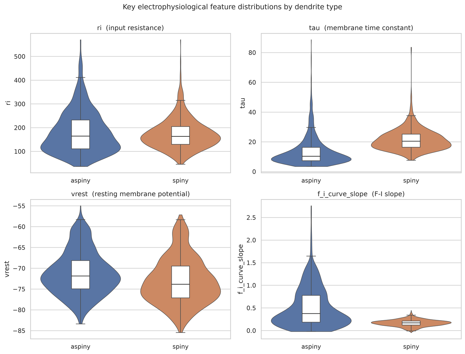 Allen Cell Types E/I Neuron Classification