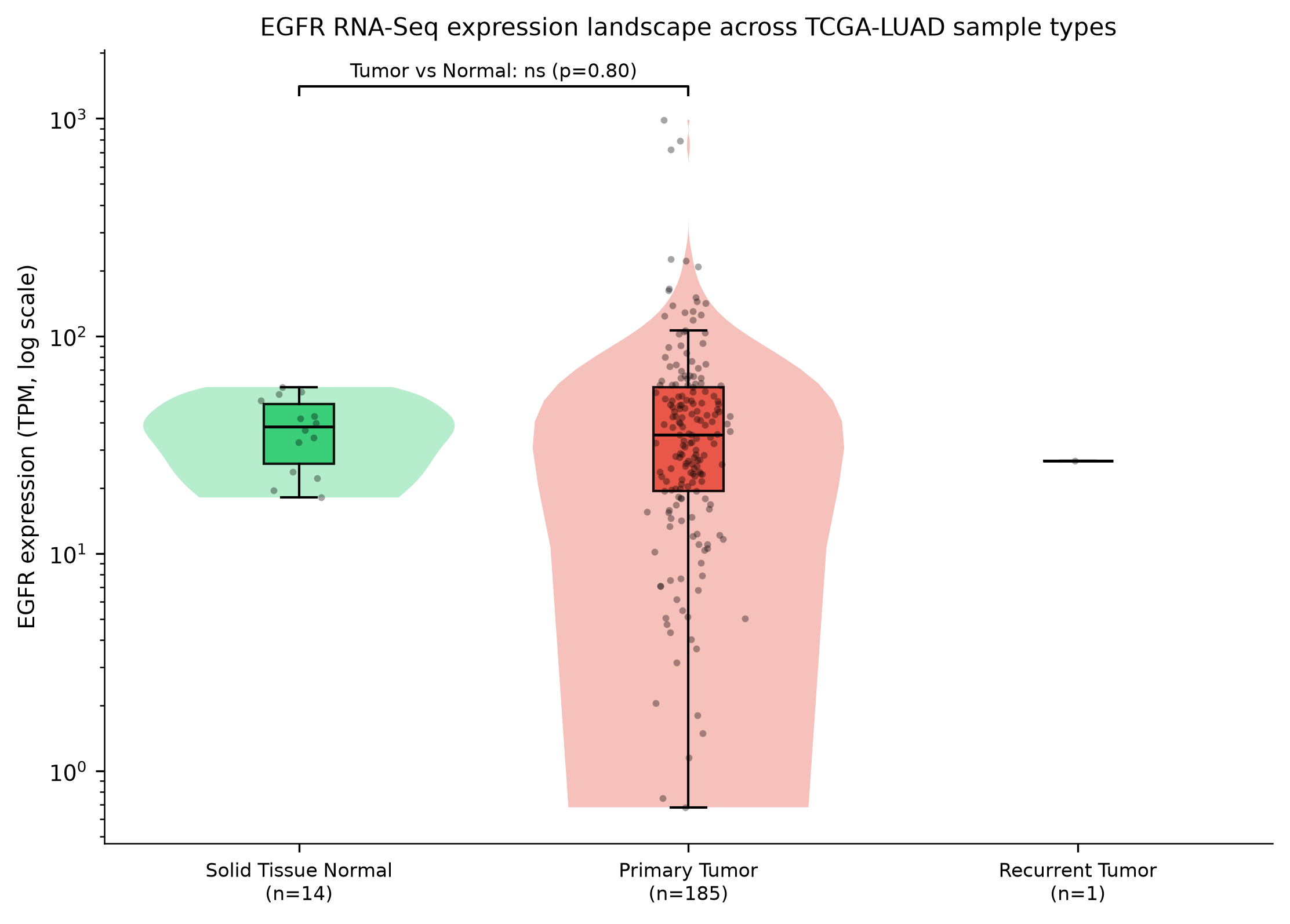 Step3 expression landscape
