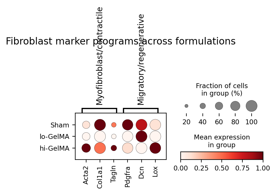 Fibroblast marker dotplot