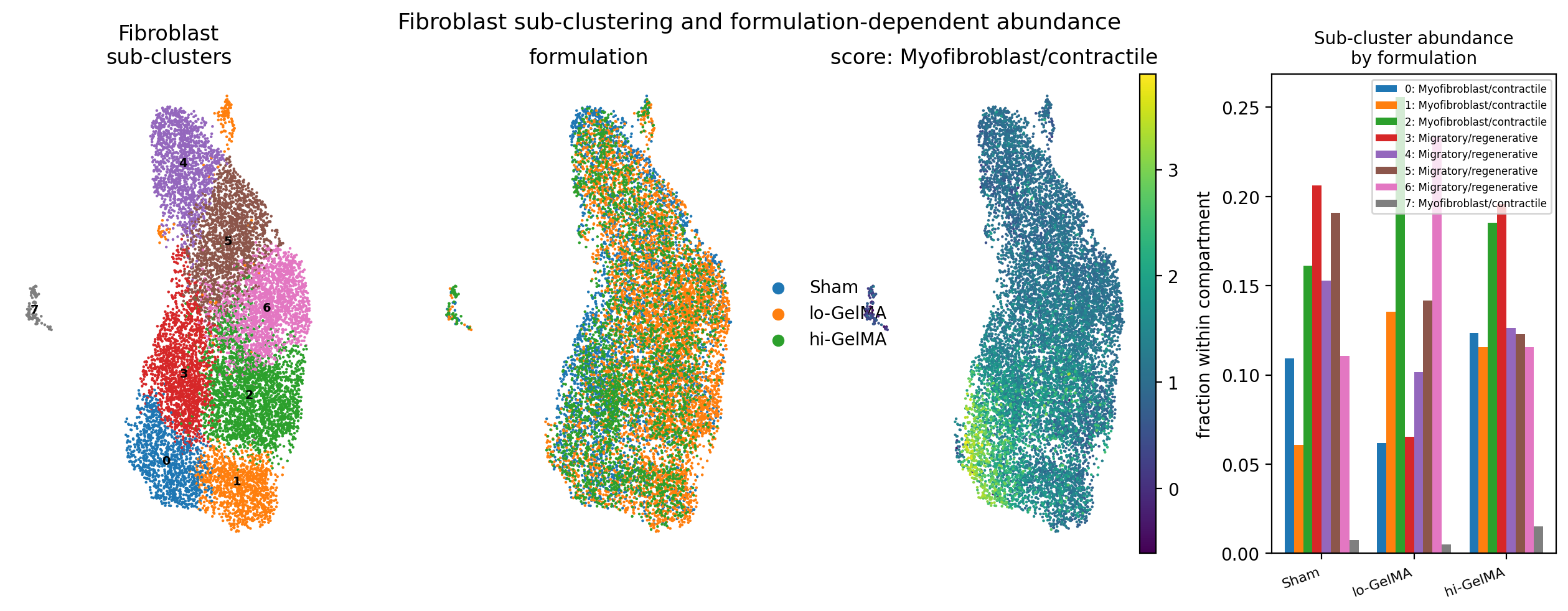 Fibroblast subclustering