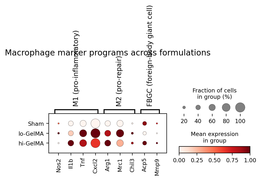 Macrophage marker dotplot