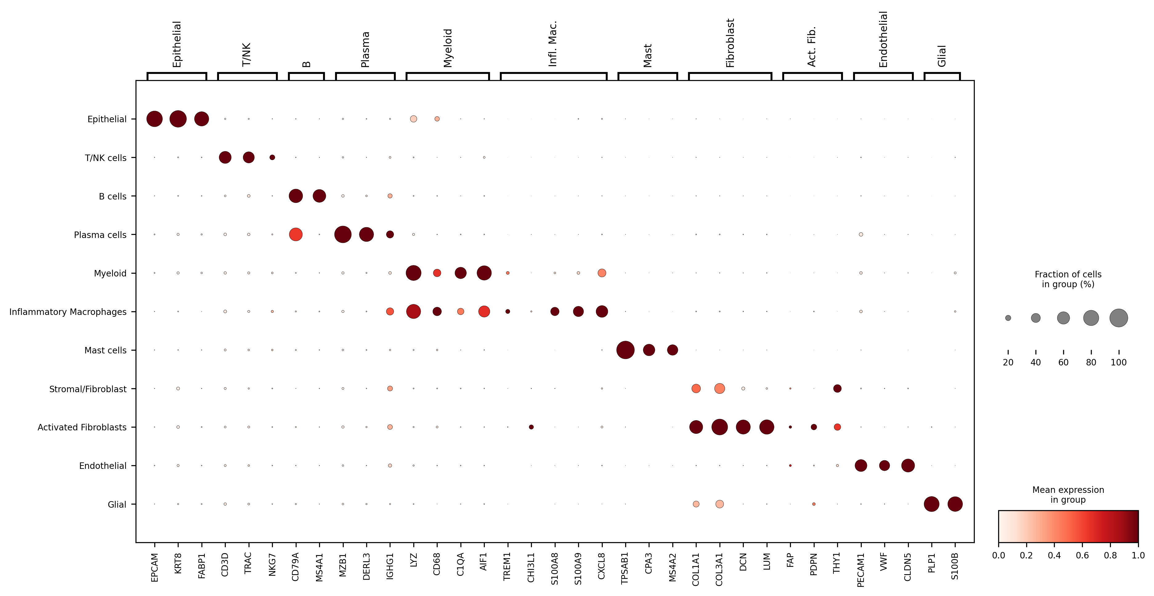 Sc marker dotplot