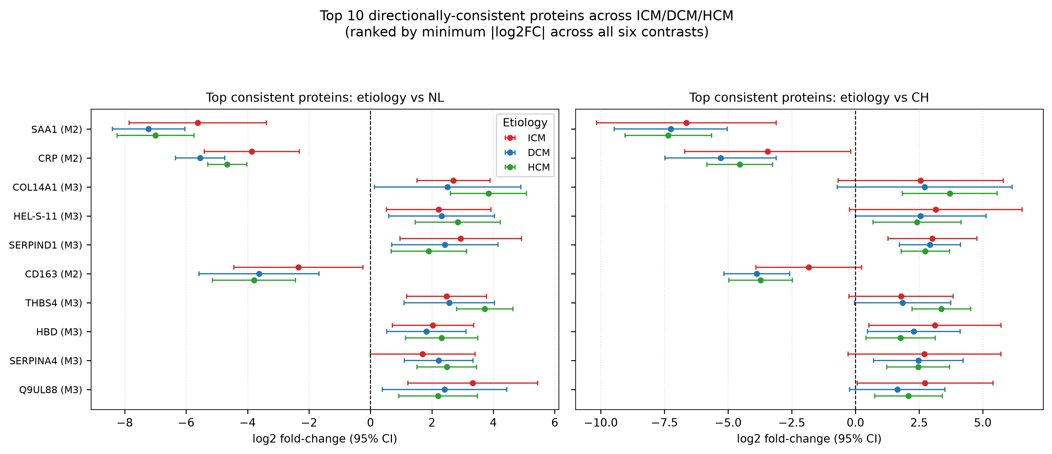 Forest plot top proteins