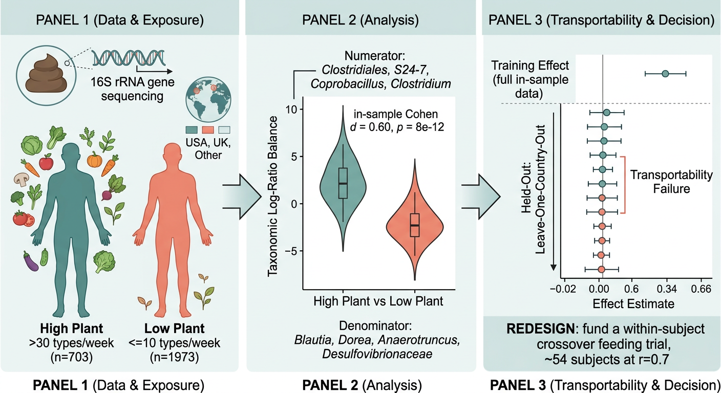 Graphical abstract v1