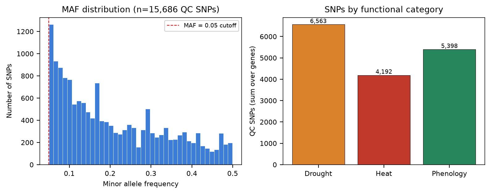 Step2 maf distribution