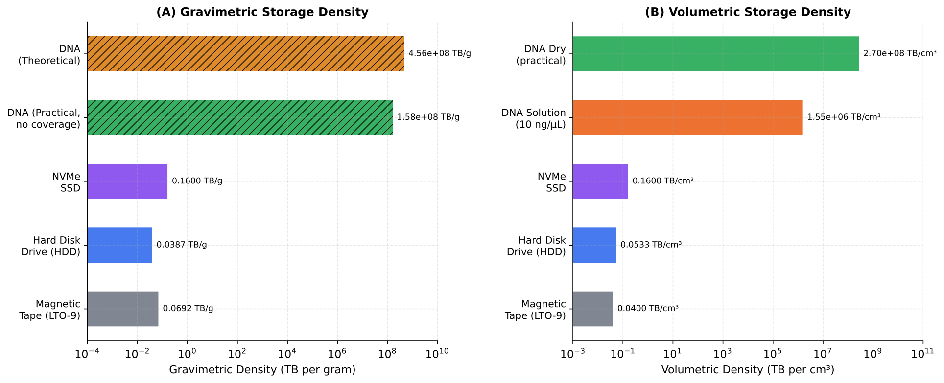 Enzymatic DNA data storage simulation