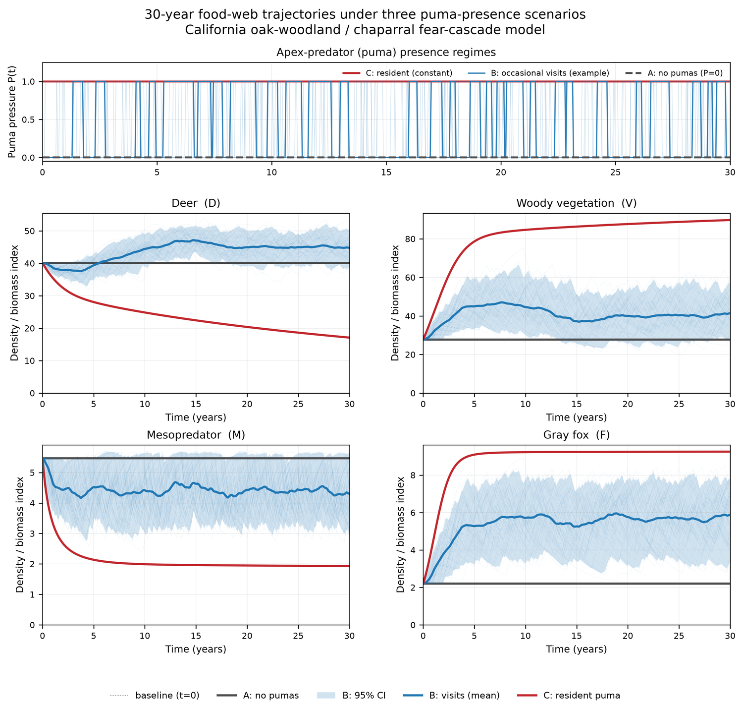 Puma trophic cascade dynamical simulation